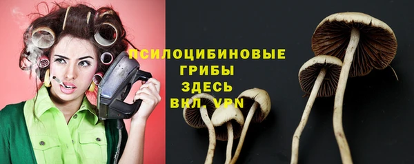 спайс Горняк
