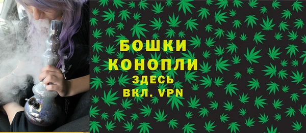 спайс Горняк