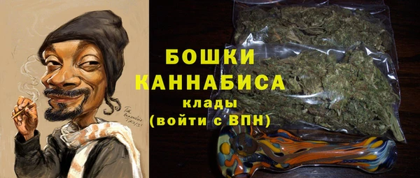 2c-b Горнозаводск