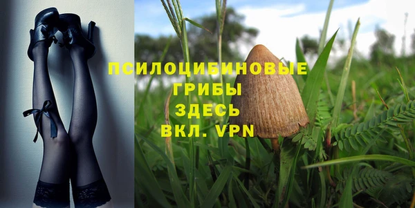 спайс Горняк